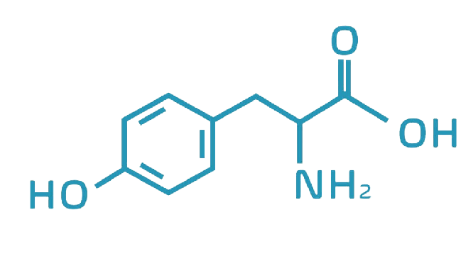 tyrosine